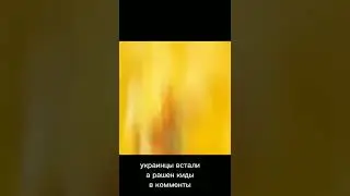 🇺🇦🇺🇦🇺🇦