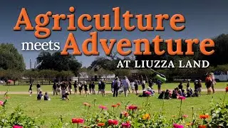 Уроки сбора урожая и семейные развлечения в Liuzza Land