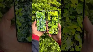 Iphone 13 Vs Samsung Z flip 4 in hand 🤗👌 #shorts #iphone13 #flip4 #apple #samsung #trending
