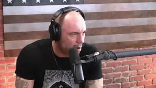 Joe Rogan on Molly -  Mdma