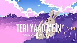 Teri Yaad Mein (Lo-fi Flip) | Shahid Kapoor | New Love Story | Romantic Lofi Mix 2026 | Lit Beat