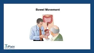 Bowel Movement