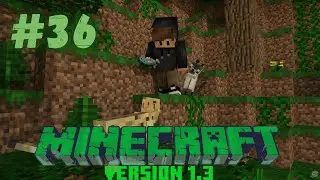 Musik auf 10% ! KNALLT trotzdem !🌍 #36 - MINECRAFT 1.3⛏️ [LET’S PLAY/FACECAM]
