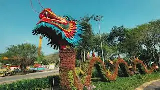 Festival Hoa - Kiểng Sadec lần thứ II 2025
