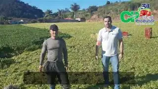 DEPOIMENTO SOBRE O BIOTRAC E MAGTRAC