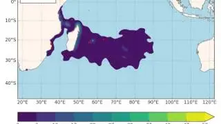Computer model prediction for how floating debris from MH370 spread (animation)