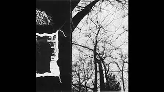 Cerebral Mass (US) - Blue Moon (Demo) 2020