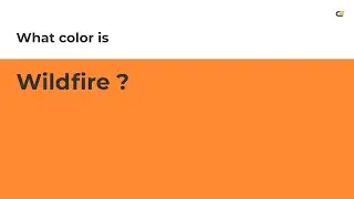 Wildfire color #ff8833 hex color - Orange color - Cool color ff8833