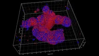 Growth of Epithelial Organoids in a Defined Hydrogel