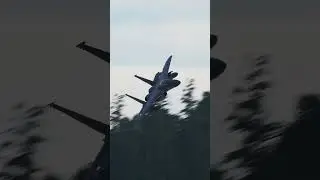 F-15C Flyby | DCS World