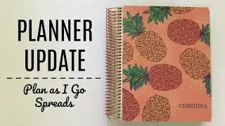 PLANNER UPDATE | Plan as I Go Spreads
