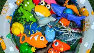 Ocean Animals for Kids: Learn Names, Facts & Educational Ocean Toys for Toddlers