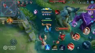 Shadowstalker HOK Highlights