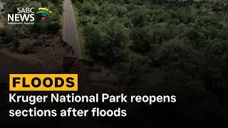 Kruger National Park reopens sections after floods