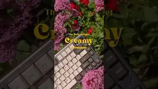 The Best Budget CREAMY Keyboard #keyboard #mechanicalkeyboard #customkeyboard