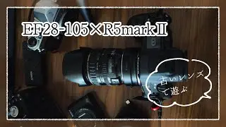 【R5markⅡ】キャノンEF28-105で遊ぶ