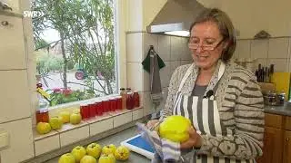 Quitte -  die ganz besondere Frucht | SWR | Landesschau Rheinland-Pfalz