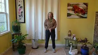 Moving Clouds Qigong - A Gentle Practice to Calm the Body and Mind