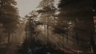 Pine Forest.... Lumen++ Nanite UE 5.1