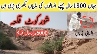 shorkot qila ||dead bodies found 1800 years old|| bheer #punjab #history #multan