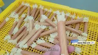AIO-DF300 Commercial Pet Food Dryer - Thailand Drying Project