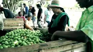 Municipality of Libona Profile Video