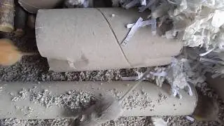 Shallot and her 8 gerbil babies // rescue gerbils