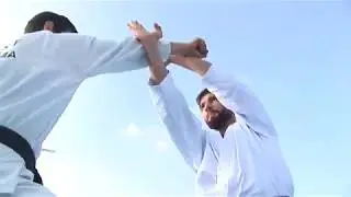 Armenia traditional karate-do federation