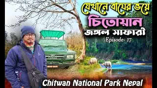 Chitwan National Park Jungle Safari Nepal | Jeep Safari Details | Nepal Tour 2024 | EP 17