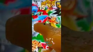 ジャングルアンドコ #カピバラ  #deagostini #capybara  #ディアゴスティーニ #ジャングルアンドコ #jungle&co.