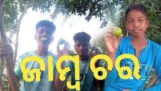 ଜାମ୍ବ ଚର ITRESTING video🎥 Rajendra and shankar