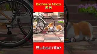 Bichaara Moco 😂🤣 | Moco Dog Funny Shorts Video | Kidplays Gaming