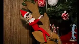 Charlie The Elf 2015