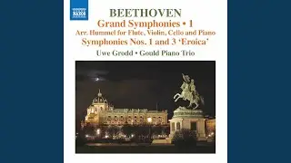 Symphony No. 1 in C Major, Op. 21 (Arr. J. N. Hummel for Flute & Piano Trio) : IV. Finale....