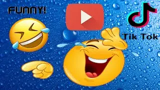 Random Animal Clips on TikTok [Compilation] [2021-11-14]