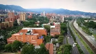Master of International Business