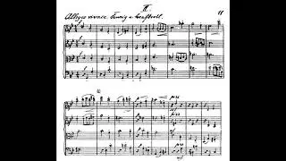 [Johanna Müller-Hermann] String Quartet, Op.6 (Score-Video)