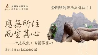 【金剛經的經法與禪法11】應無所住而生其心──十法成乘，善護菩薩心【字幕版】__淨光法師開示