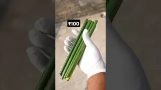 ₹100 Kamaya Natural Straw Bana kr #sevaoverself
