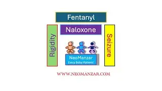 Fentanyl, Naloxone, Seizure, Chest Wall Rigidity (Neonate)