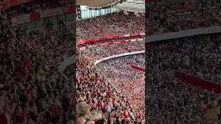 Arsenal vs Fulham 2-2 (unbelievable atmosphere on Emirates)