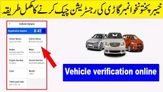 Vehicle Verification KPK / How to check kpk vehicle registration Online / mtmis KPK