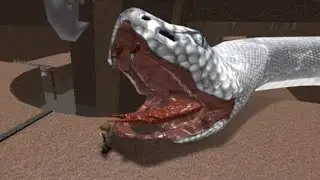 Escape a giant snake 🐍 #obby#roblox#g@me walker