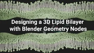 Designing a 3D Lipid Bilayer with Blender Geometry Nodes