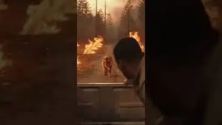😱The girl wanted to rescue a tiger and its incredible journey back to the wild