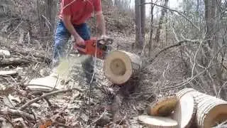 Husqvarna 262 chainsaw ported by Wicked Work Saws