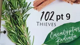 Essential Oils 102: Thieves pt9