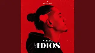 Adiós (feat. N.G.D)