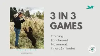 Touch &rarr; Treat (Bowl) | 3-in-3 Dog Training Game