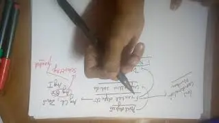 Frenkel defect .Solid state class 12 and 11